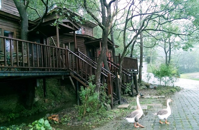 山城療癒之旅大優惠